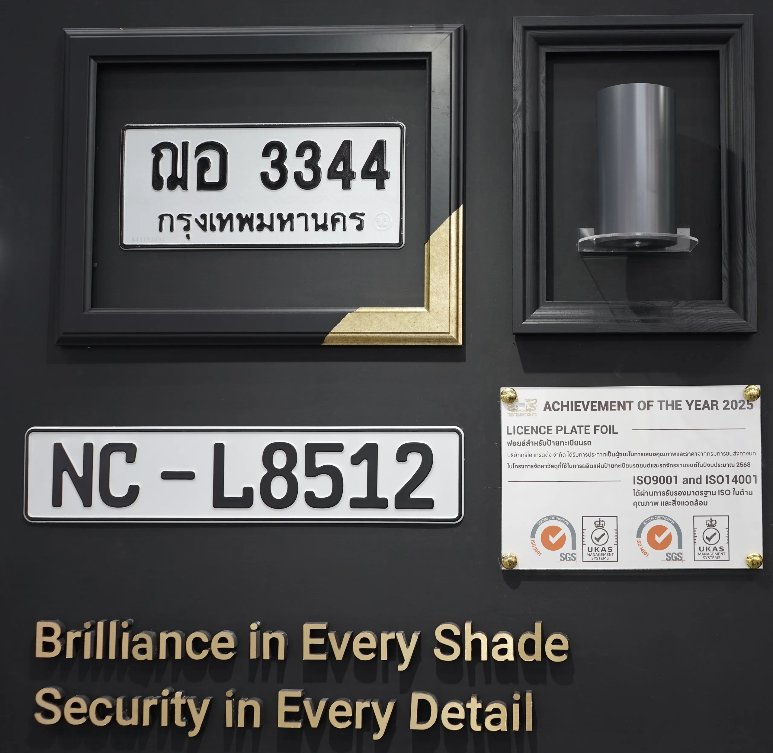 Pigment foil on vehicle licence plates